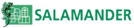 Salamander