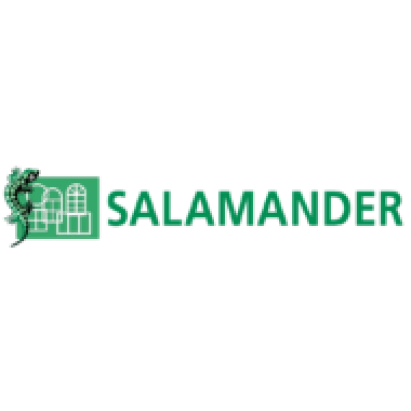 Salamander